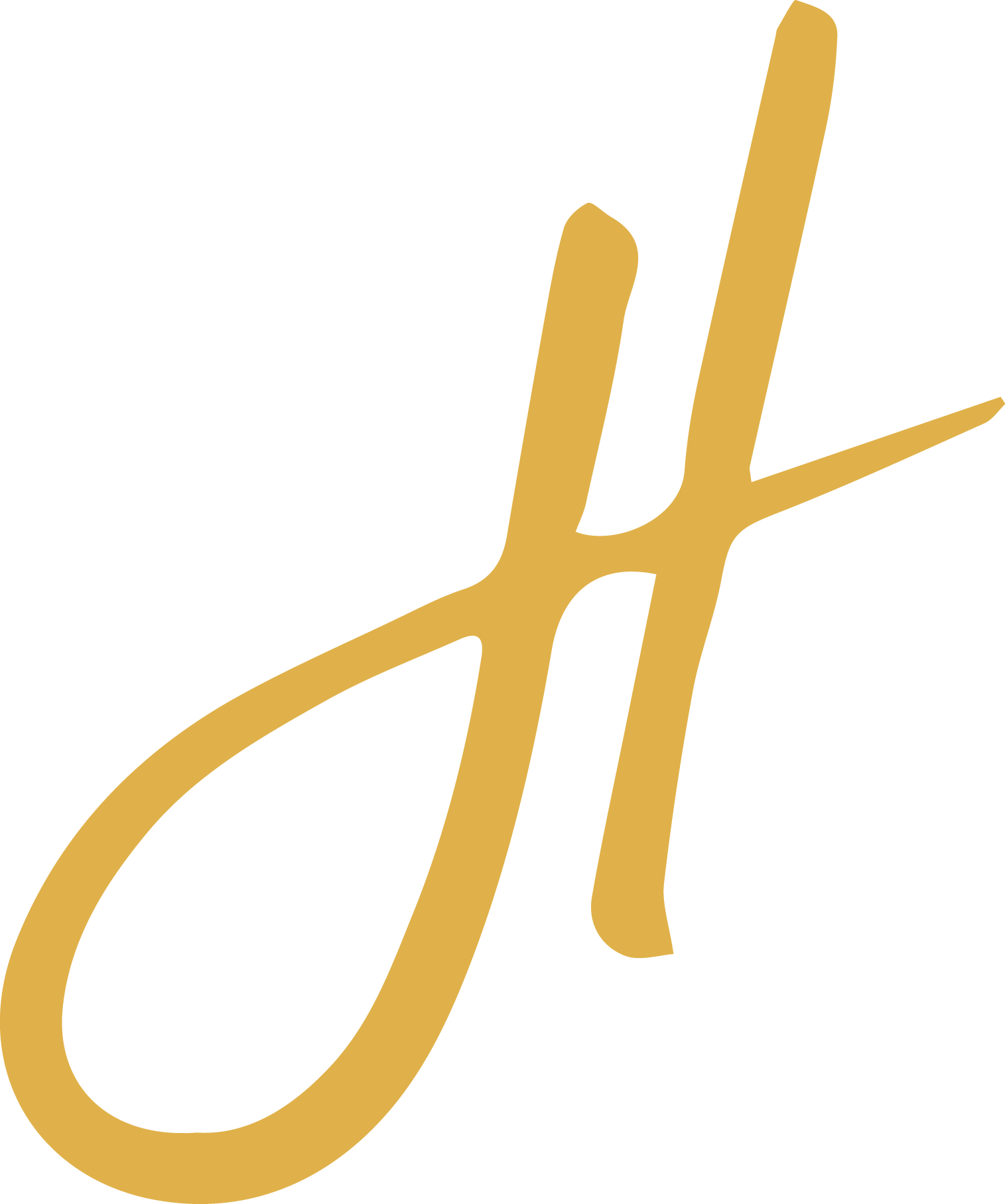 Jennywealth Honeybees Logo